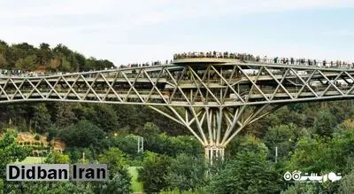 الزام شهرداری به اصلاح ساختاری پل طبیعت برای پیشگیری از خودکشی