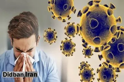 با پیک عفونتهای تنفسی مواجه نیستیم/ ضرورت رعایت توصیههای بهداشتی
