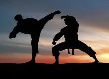 ۱۰۰میلیون گرفتند اما احکام را ندادند/ تخلفات مالی، در فدارسیون ورزش های رزمی از ۳ تا ۱۰۰ میلیون! / جوابیه وحید اسحاقی : امین جلالی هیچگونه سمتی در فدراسیون ورزشهای رزمی ندارد؛ شکایت کردیم 