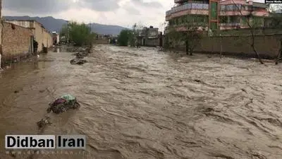 فرماندار ویژه مشهد اعلام کرد: فوت ۷ تبعه عراقی بر اثر سیل و مفقودشدن ۳ نفر دیگر