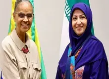 تناقض عجیب در هزینه سفر مسئولان سازمان محیط‌زیست به برزیل