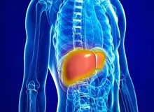 آیا مصرف زیاد آب باعث کبد چرب می‌شود؟
