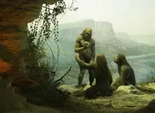 پژوهشی جدید: نئاندرتال‌ها هنوز زنده‌اند؛ اما جذب انسان‌های امروزی شده‌اند