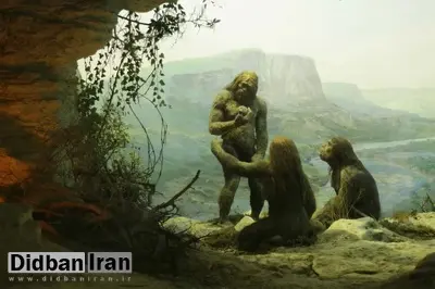 پژوهشی جدید: نئاندرتال‌ها هنوز زنده‌اند؛ اما جذب انسان‌های امروزی شده‌اند