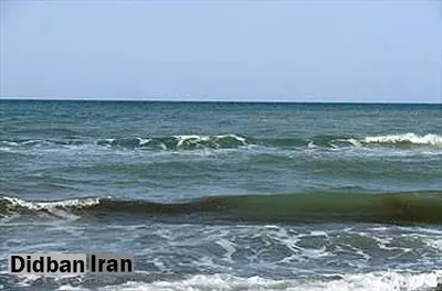 رییس پژوهشگاه ملی اقیانوسشناسی و علوم جوی: کرم ضدآفتاب وارد خلیح فارس شده و حیات مرجانهارا به خطر انداخته است