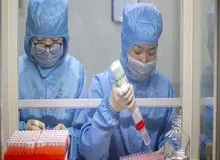 داوری ضد بیماری «کرونا» کشف شد؟!