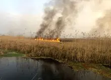 انتشار دود از ۲۵ هزار هکتار از تالاب هورالعظیم