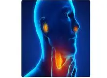 چه بیماری‌هایی توسط متخصص گوش و حلق و بینی قابل درمان هستند؟