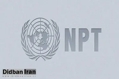 جزئیات از طرح مجلس برای خروج از NPT/ آژانس هرچه بیشتر نظارت کرده، بیشتر هم آسیب رسانده است