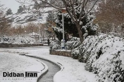 فردا هوای تهران و مناطق غربی کشور برفی و بارانی می شود 