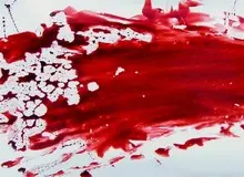 تیراندازی مرگبار در میهمانی شبانه شهرک غرب