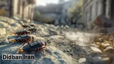 شرکت آلمانی سوسک‌های زنده را برای جاسوسی به سایبورگ تبدیل می‌کند