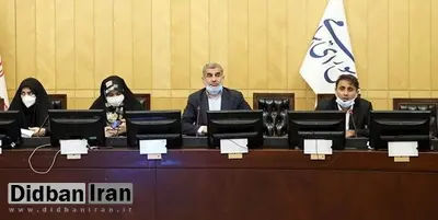 مجلس جلوی صید غیراصولی ترال میایستد/ بیکار کردن صیادان خیانت است/ نیکزاد: نباید صیادان ما گرسنه بمانند و تعدادی افراد خاص فقط صید کنند