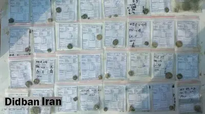 کشف ۱۰۰ سکه تاریخی در اصفهان