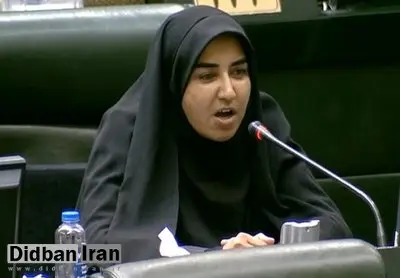 فلاحی: برای برخی علافان سیاسی شغل ایجاد کردهایم
