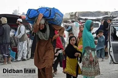 آمار جدید مهاجران افغان اخراج شده اعلام شد