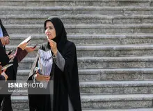 بررسی پیشنهادات دولت درباره CFT در شورای نگهبان
