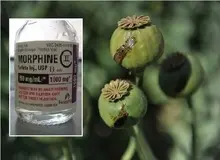 کشف محموله 2 تنی مورفین در کرمان