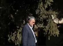 حجتی: تولیدکنندگان گندم به بزرگواری خود عذر ما را بپذیرند/ پیگیر پرداخت پول گندم‌کاران هستیم