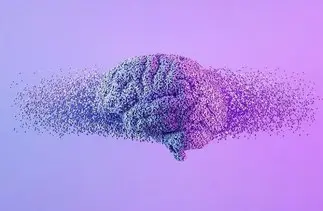 مغز تا ۳۲ سالگی هنوز نوجوان است