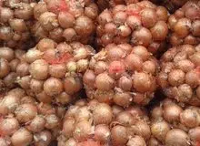 قیمت هر کیلو پیاز تا ۳۷هزار تومان افزایش پیدا کرد