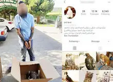 قاچاقچی حیات وحش در زمان فروش عقاب طلایی به دام افتاد!