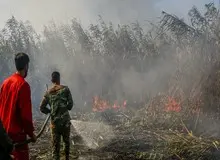 فرمانداری: ۶ هکتار از اراضی تالاب انزلی دچار آتش‌سوزی شد/ محیط‌زیست: حریق پس از برخورد با کانال‌های آب به صورت لکه‌ای و پراکنده شده و ۲ نقطه به طور همزمان در آتش می‌سوزند