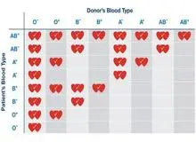 افراد با گروه خونی AB چه ویژگی‌هایی دارند؟/ رژیم غذایی مناسب برای این گروه خونی چیست؟