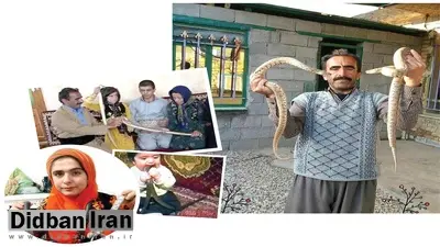 زندگی عجیب خانواده کرمانشاهی با خزندگان مرگبار/ بانک به من وام نمی داد؛ مار ضامن وام من شد