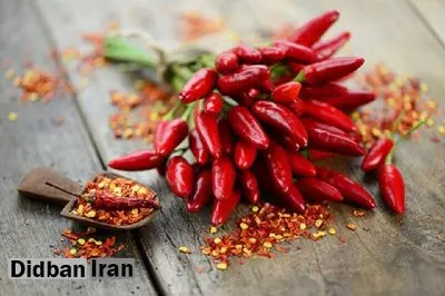 غذاهای تند و فلفلی بخوریم یا نخوریم؟