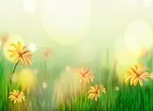 ۶ روش برای دور ماندن از بیماری‌ها در فصل بهار