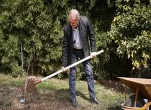 پزشکیان: مردم با مشارکت در کاشت درخت به بهبود محیط‌زیست کمک کنند