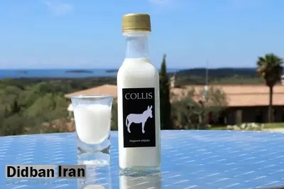 بازار لبنیات شیر تو شیر شد/ سلام به پنیر الاغ ۵ میلیون تومانی!