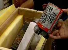 دولت کانادا خطاب به ایران: اطلاعات جعبه های سیاه هواپیمای اوکراینی را منتشر کنید
