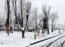 پیش‌بینی هواشناسی از بارش برف طی هفته آینده