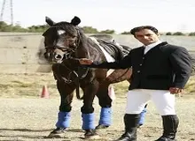 رئیس هیات سوارکاری شمال شرق تهران : گام های بلندی در آموزش همگانی رشته سوارکاری برداشته ایم