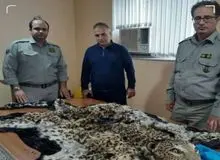 قاتل پلنگ دستگیر شد +عکس