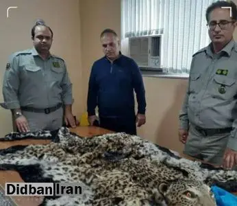 قاتل پلنگ دستگیر شد +عکس