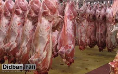 گوشت قرمز کیلویی ۱۰ هزار تومان ارزان شد