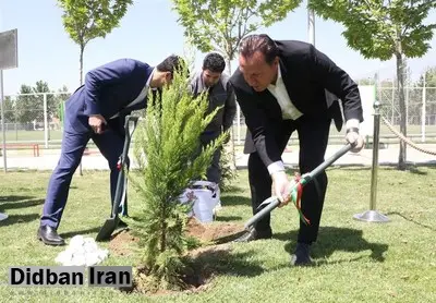 علی کریمی: حال درخت ۲۰۰میلیاردی ما چطوره؟
