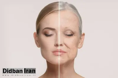 ساخت اکسیرجوانی به کجا رسید؟/ پشت پرده تجارت طول عمر و اکسیر جوانی با حمایت میلیاردرها