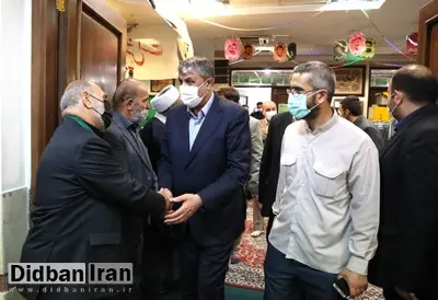 محمد اسلامی: با ترور دانشمندان هسته‌ای، پیشرفت‌مان تصاعدی شد
