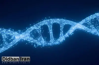 محققان: انسان احتمالاً در ژنهای خود دارای ابرقدرتهای خواب زمستانی است