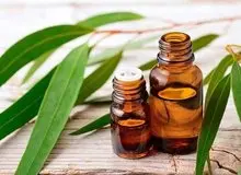 گیاهی مفید برای آبرسانی پوست و درد مفاصل