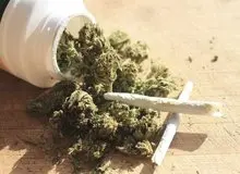 دسترسی به «ماده مخدر گُل» در ایران به زیر ۷ دقیقه رسید/ افزایش مصرف هروئین در دوره کرونا
