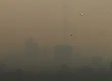 نماینده مجلس: منشأ ۷۰ درصد آلودگی هوای تهران وسایل نقلیه است