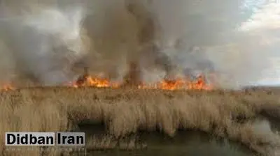 دود هورالعظیم، «حلبچه» دیگری با خود دارد؟