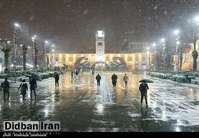 بارش زیبای برف در رشت+ تصاویر
