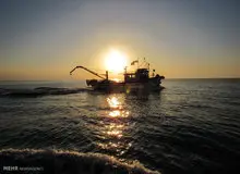 توقیف قایق صیادان ایرانی توسط مرزبانی قطر /سه صیاد دستگیر شدند