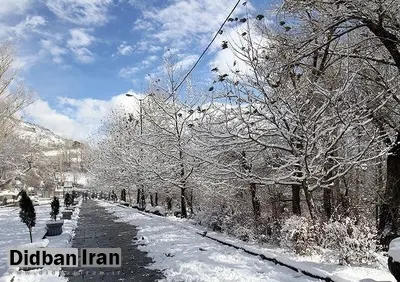 برف و باران این استان‌ها را دربرمی‌گیرد؛ کولاک برف در هفته آینده